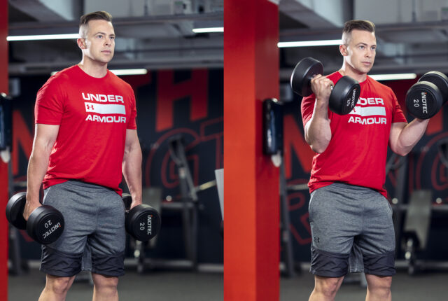 hauiskääntö käsipainolla