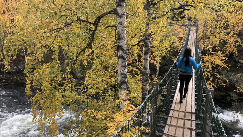 ruka myllykosken riippusilta