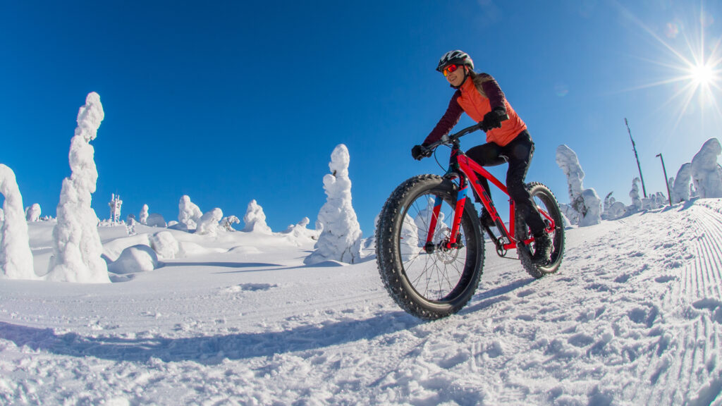 talvipyöräily